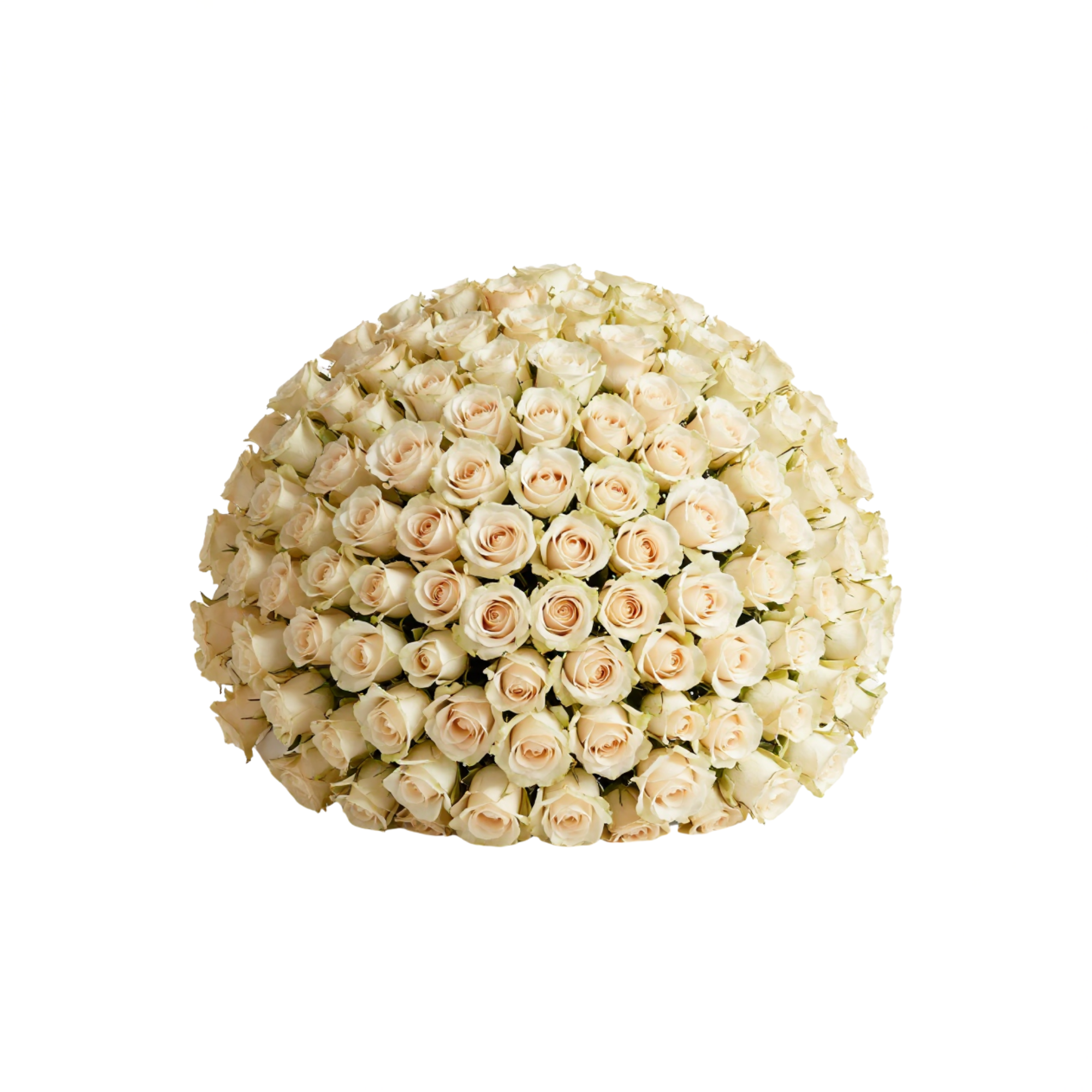 301 Roses Royal Bouquet — 301 gülle hazırlanmış görkemli kraliyet buketi